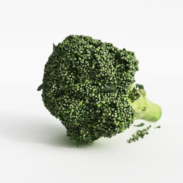 Broccoli - دانلود مدل سه بعدی کلم بروکلی - آبجکت سه بعدی کلم بروکلی - دانلود آبجکت کلم بروکلی - دانلود مدل سه بعدی fbx - دانلود مدل سه بعدی obj -Broccoli 3d model - Broccoli 3d Object - Broccoli OBJ 3d models - Broccoli FBX 3d Models - 